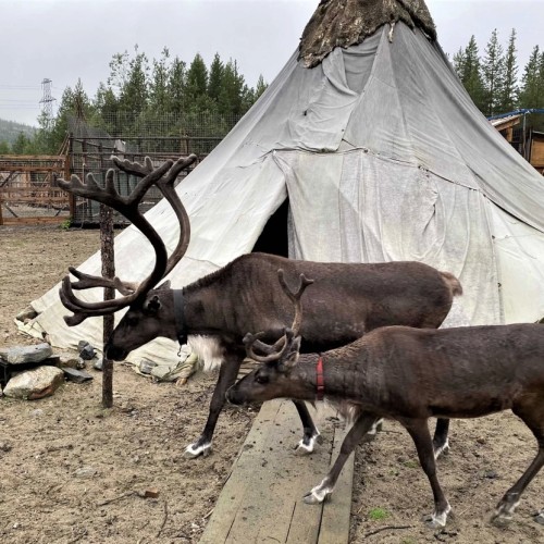 Большое приключение на Кольском в мини-группе: Териберка, корабли и красоты Арктики