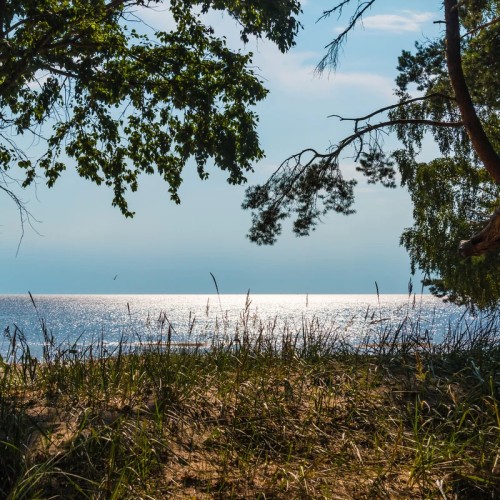 Большая прогулка по Комарово