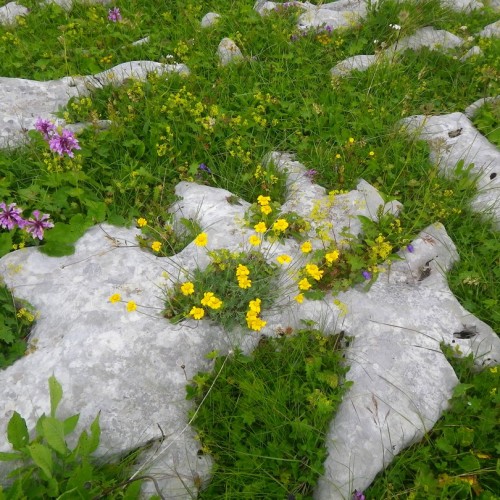 Маршрут №30: поход через горы к морю