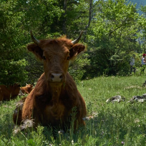 Суперактивный день на Алтае — всё включено