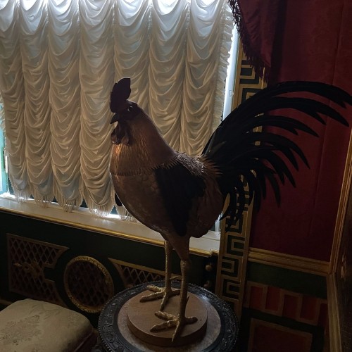 Зимний Петергоф