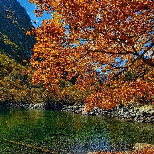 А давай в Домбай? Треккинг без рюкзаков