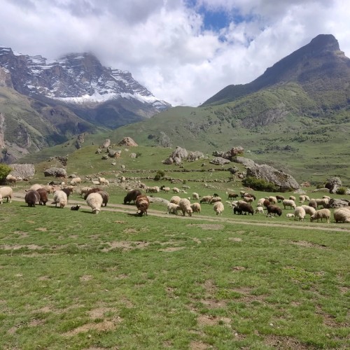 В сказочную Верхнюю Балкарию с местным жителем (из Нальчика)