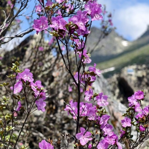 Таёжные водопады парка «Ергаки»: треккинг налегке с ночёвками в палатках
