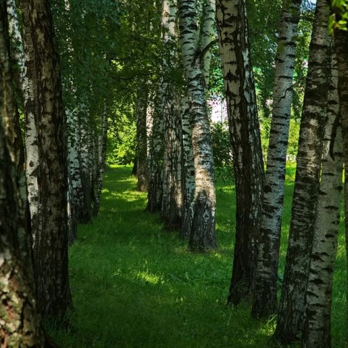 По следам русских классиков: Константиново, Ясная Поляна и Мелихово