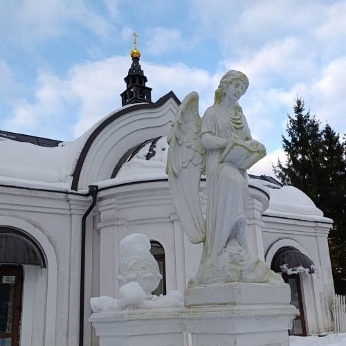 Прусские воительницы и великие полководцы 19 века