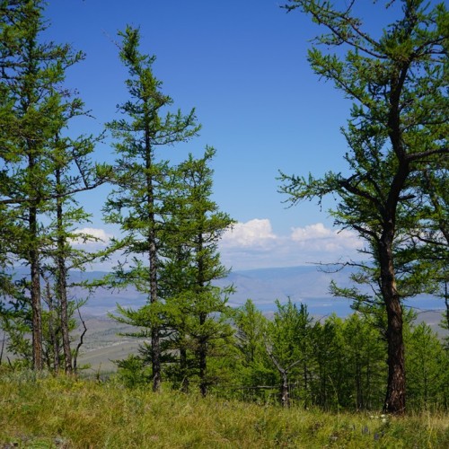Палитра летнего Байкала: к Малому Морю из Иркутска