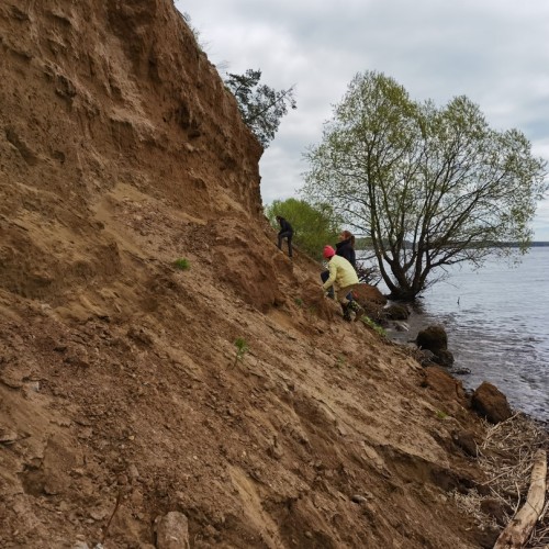 За окаменелостями музейного уровня в Ярославскую область с палеонтологом