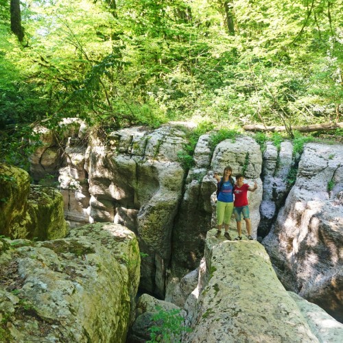 Лёгкий треккинг в субтропиках с проживанием в гостинице в Адлере