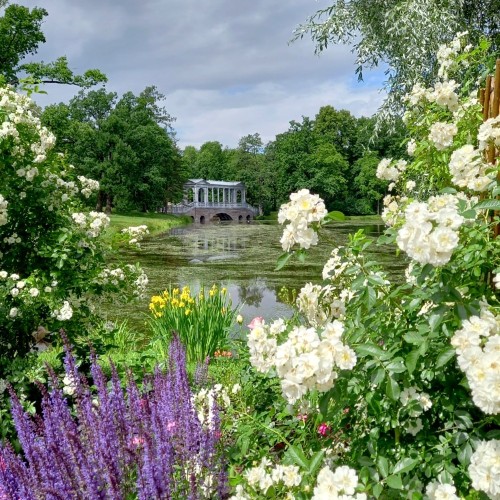 Пешком по Царскому Селу: Екатерининский и Александровский парки