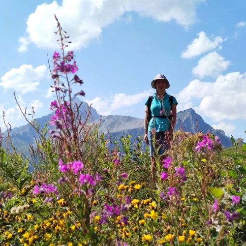 Лёгкий треккинг в горах Домбая с комфортом