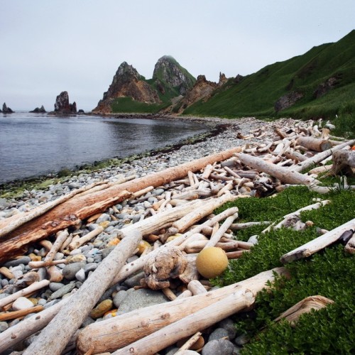 VIP-круиз с экспертами и музыкантами от Камчатки до Чукотки (всё включено)