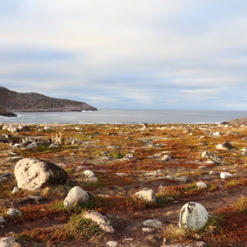 Тур за полярным кругом: Мурманск и Териберка в мини-группе