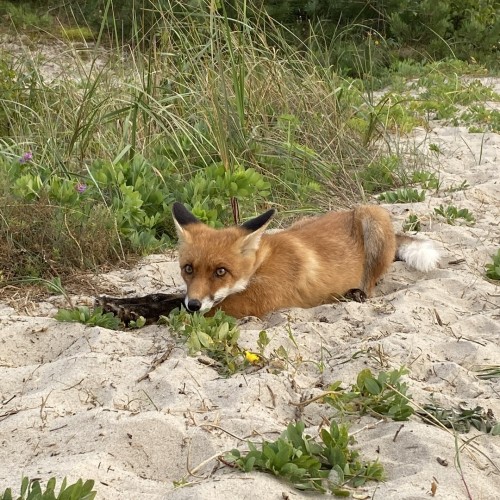 Живописные уголки янтарного края: по Калининградской области в мини-группе