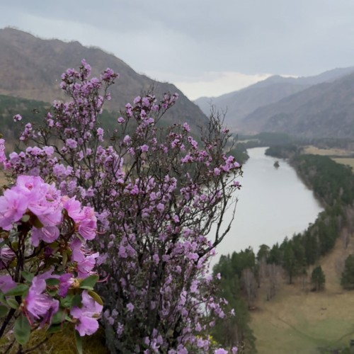 Алтай в красках мая: активное путешествие по знаковым локациям