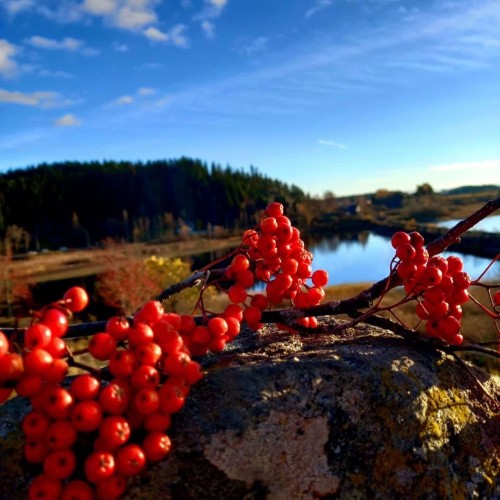 Индивидуальная поездка в Северное Приладожье из Санкт-Петербурга