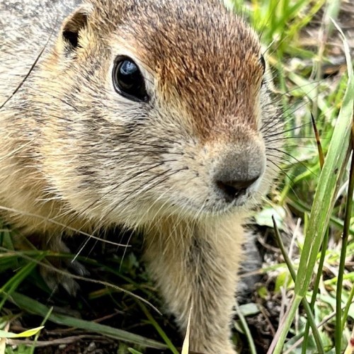 Экспедиция по Камчатке с восхождениями на вулканы, морской прогулкой и рыбалкой