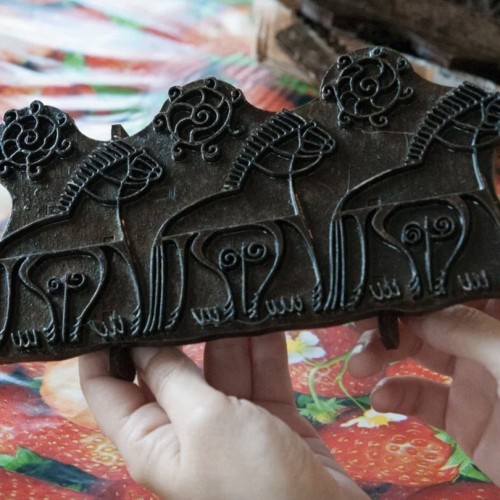 В гости к поморам под белоснежными парусами: приключения вдали от цивилизации