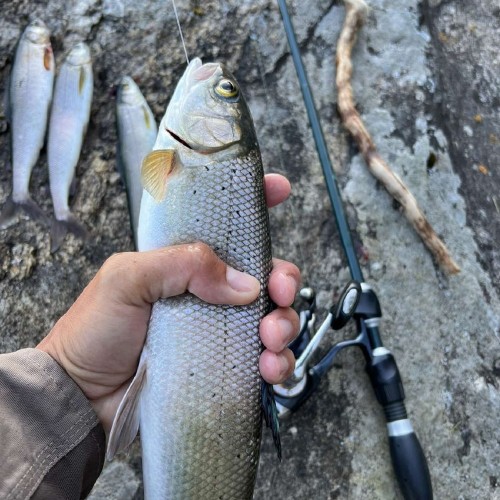 Экстрим-экспедиция на лодке вокруг Ольхона и рыбалка на Байкале только для вас