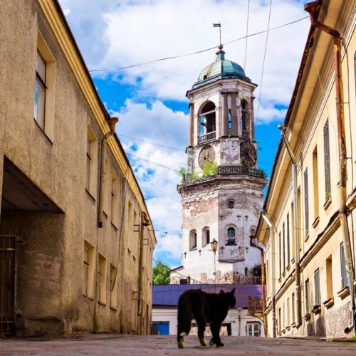 Индивидуальная авто-экскурсия в Выборг