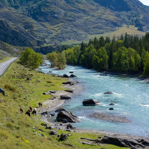 Выходные в инопланетном Алтае: Чуйский тракт, «Марс» и Гейзерное озеро