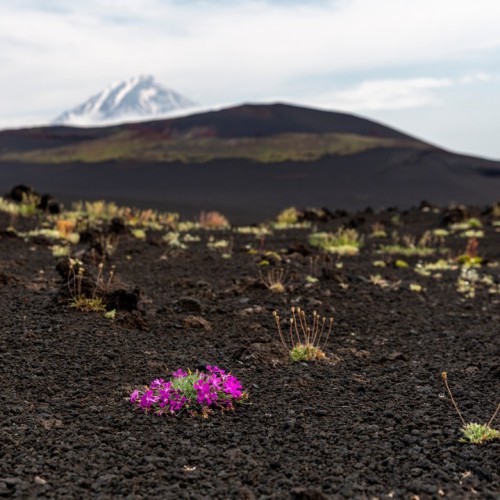 Туда, где горы дышат огнём: сплав, восхождение и джиппинг в мини-группе