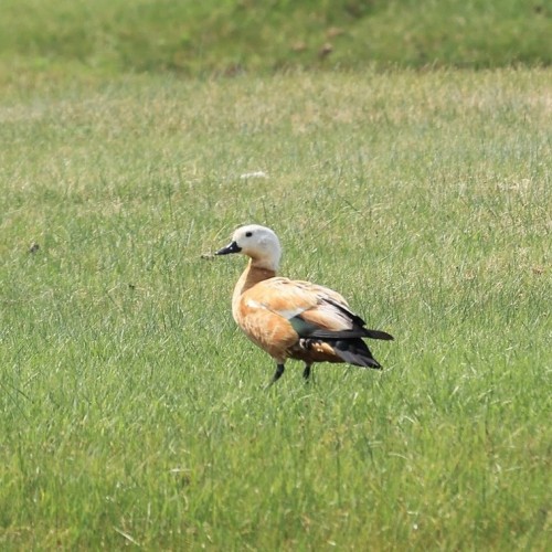 Индивидуальный джип-выезд по Баргузинской долине с посещением священных мест