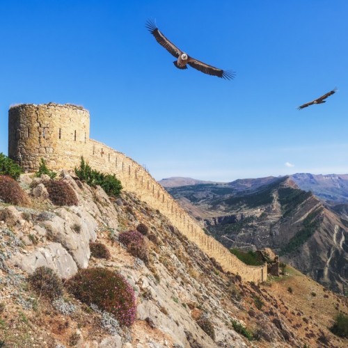 Собирай чемодан, ты едешь в Дагестан! Путешествие в край гор и древностей