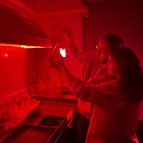 Фотография без камеры: мастер-класс по созданию фотограммы в Петербурге