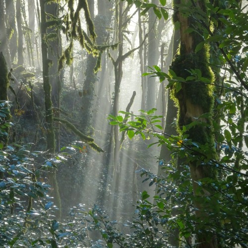 Перезагрузка в горах и на море в мини-группе