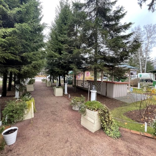 Приморский Парадиз — Сестрорецк, Репино, Комарово и Зеленогорск. Индивидуальная экскурсия