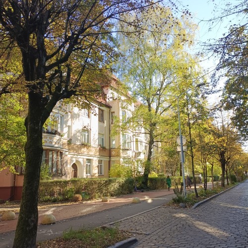 Экспресс-экскурсия из центра города в Амалиенау