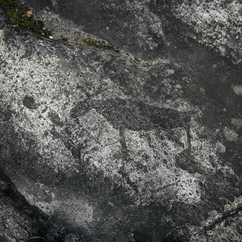 Ваше персональное путешествие вглубь веков: петроглифы, Кижи и Соловецкий монастырь