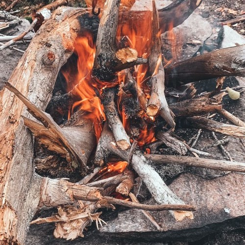 Детокс в Карелии: место силы, дары леса и походная романтика (всё включено)