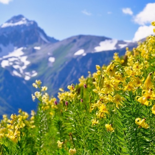 На поезде к жемчужинам Кавказа: города, горы, кухня, традиции 5 республик