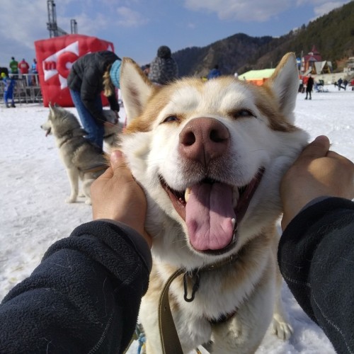 Царство льда: путешествие «всё включено» по главным достопримечательностям Байкала