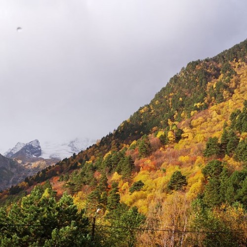 Семейный треккинг в Дигории с размещением в гостинице