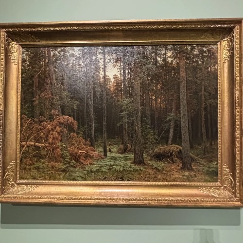 Сказки русского леса: выставка Шишкина — для детей