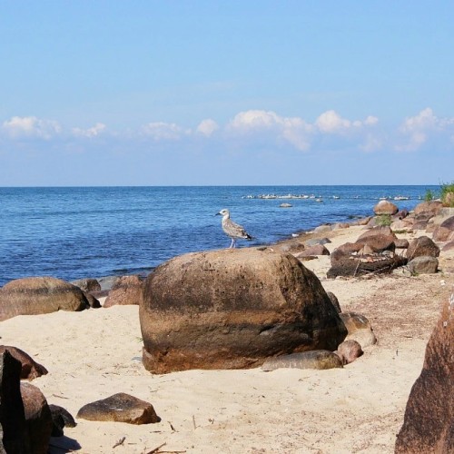 По Псковскому морю — к Талабским островам