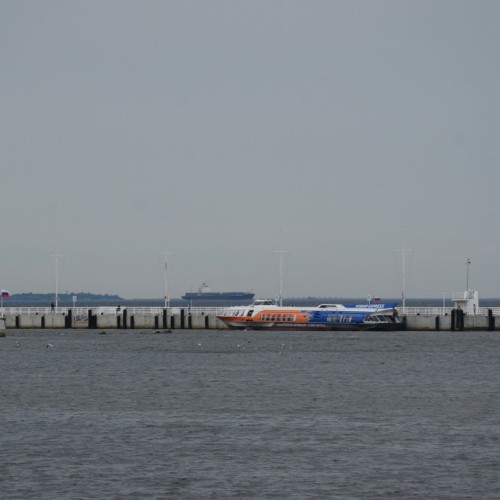 В Петергоф на «Метеоре» с посещением Нижнего парка и фонтанов