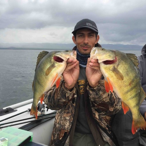 Результативная рыбалка на Гусином озере в своей компании