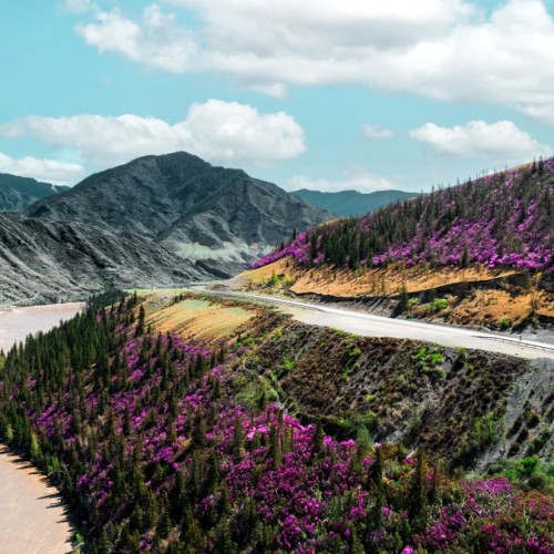 Алтай в красках мая: активное путешествие по знаковым локациям