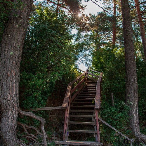 Алтай по максимуму: горные перевалы, прогулка по Телецкому озеру и высадка на Марсе