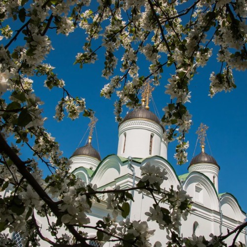 Из Нижнего Новгорода — в славный Муром и село Карачарово!