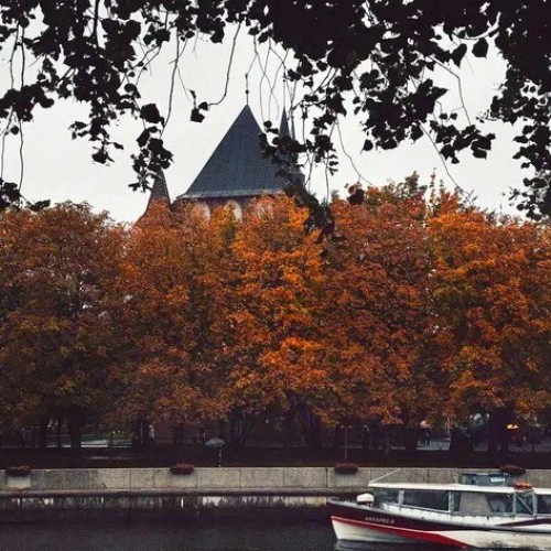 Пиво, тайны и дорога в дюны. Кёнигсбергский уикенд