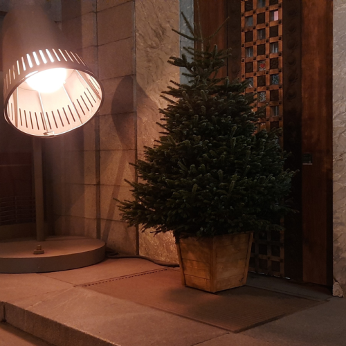 Мобильный квест без гида «Петербург революционный»