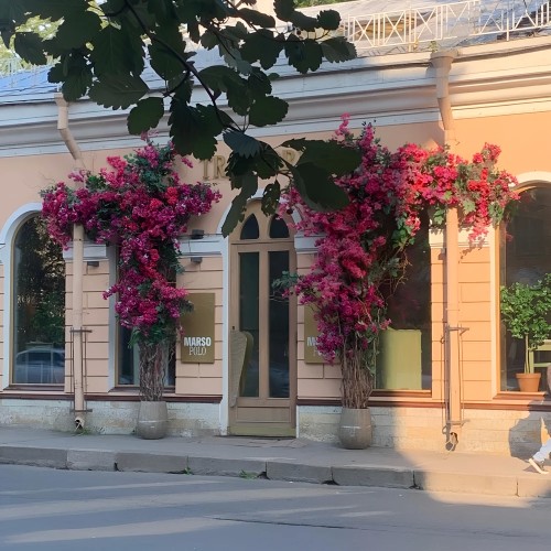 Гастрономический Петербург