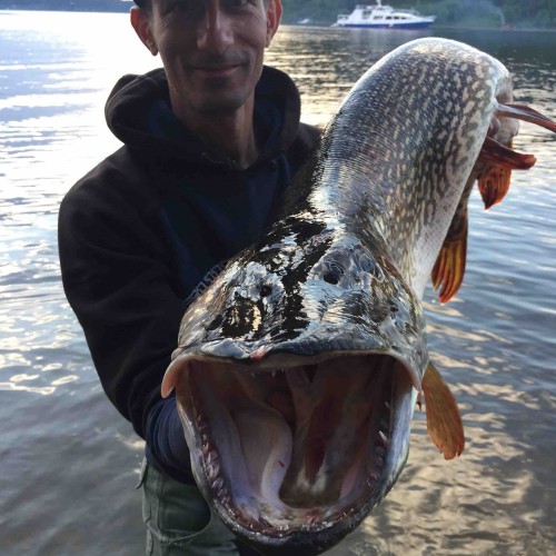 Рыбалка на трофейного хищника Иркутского водохранилища (индивидуально)