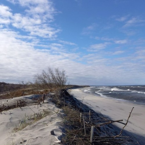 Увлекательные выходные: Калининград и курортные городки с местным гидом