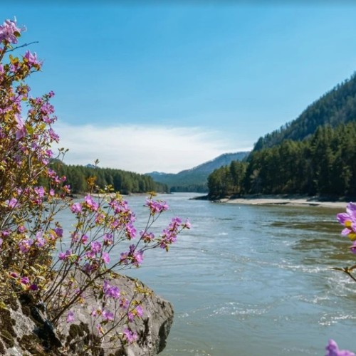В сиреневом море цветов: весенний автотур по Чуйскому тракту